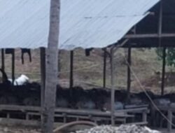 Tambang Ilegal di Gorut Pakai Merkuri, Warga Lokal Terlibat