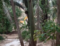 Pimpinan Otanahanews Arlan Arif Terlibat Pemungutan Kontribusi Tambang Ilegal