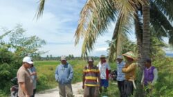 Normalisasi Dipimpin Ramli Mapo, Aliran Irigasi Petani Kembali Lancar