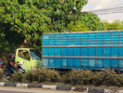 Dugaan Truk DLHTK Pohuwato Sedot Solar Subsidi Berkedok Plat Hitam