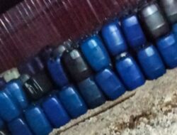 Diduga Solar Subsidi Ditimbun di Rumah Makan Motolohu, Aparat Diminta Bertindak